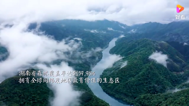 森林防火公益宣传片《林的守护》