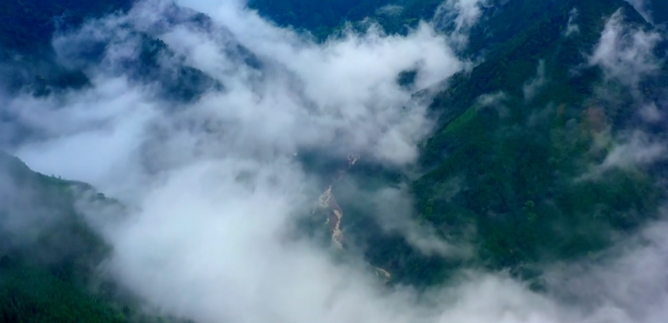 森林草原防灭火宣传片