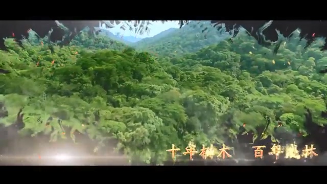 森林草原防火季 十年树木，百年成林；星星之火，易酿恶果