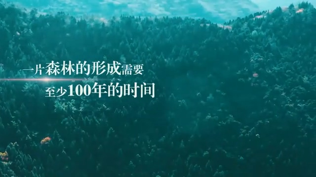 森林草原 防患于未“燃” ——森林防火安全公益视频