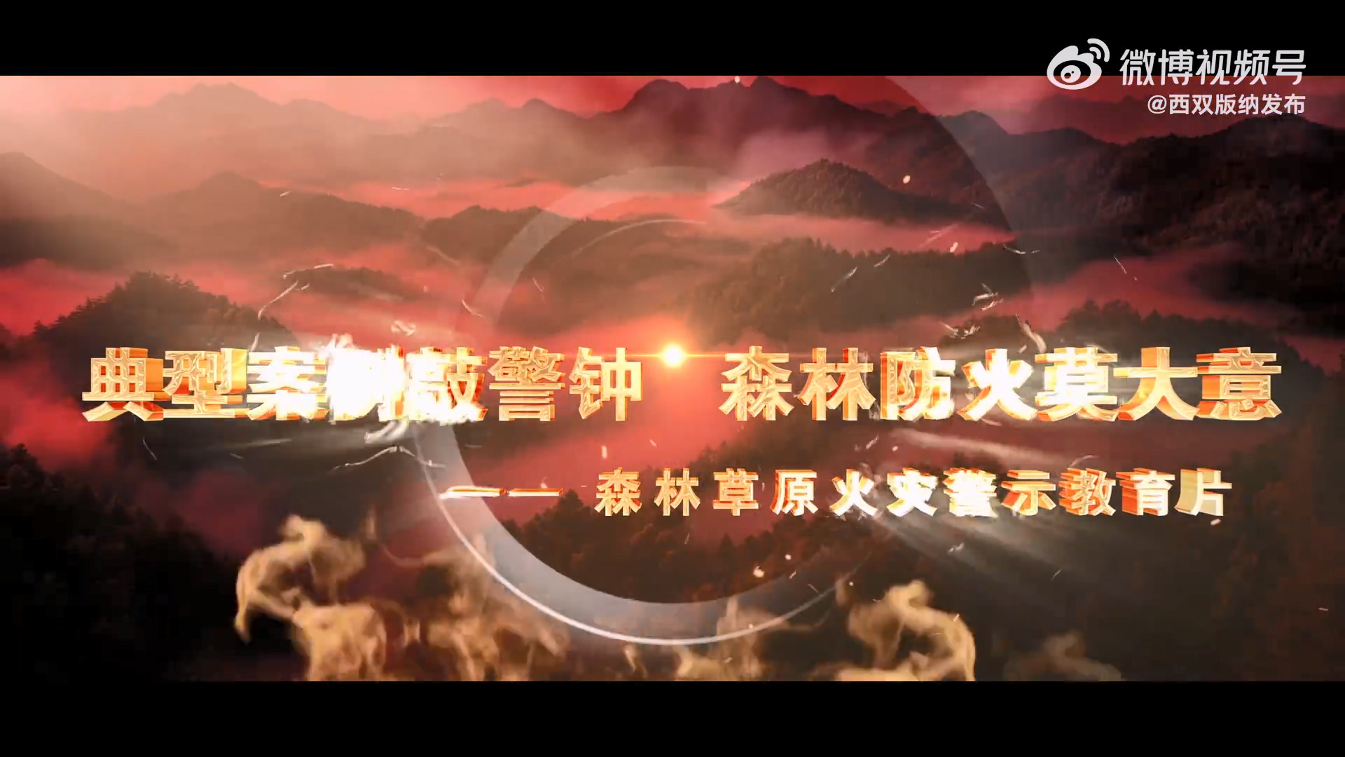 2025年森林火灾警示教育片