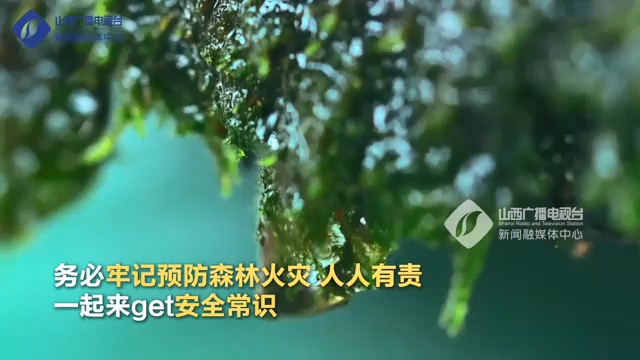 春回大地 森林防火记心间