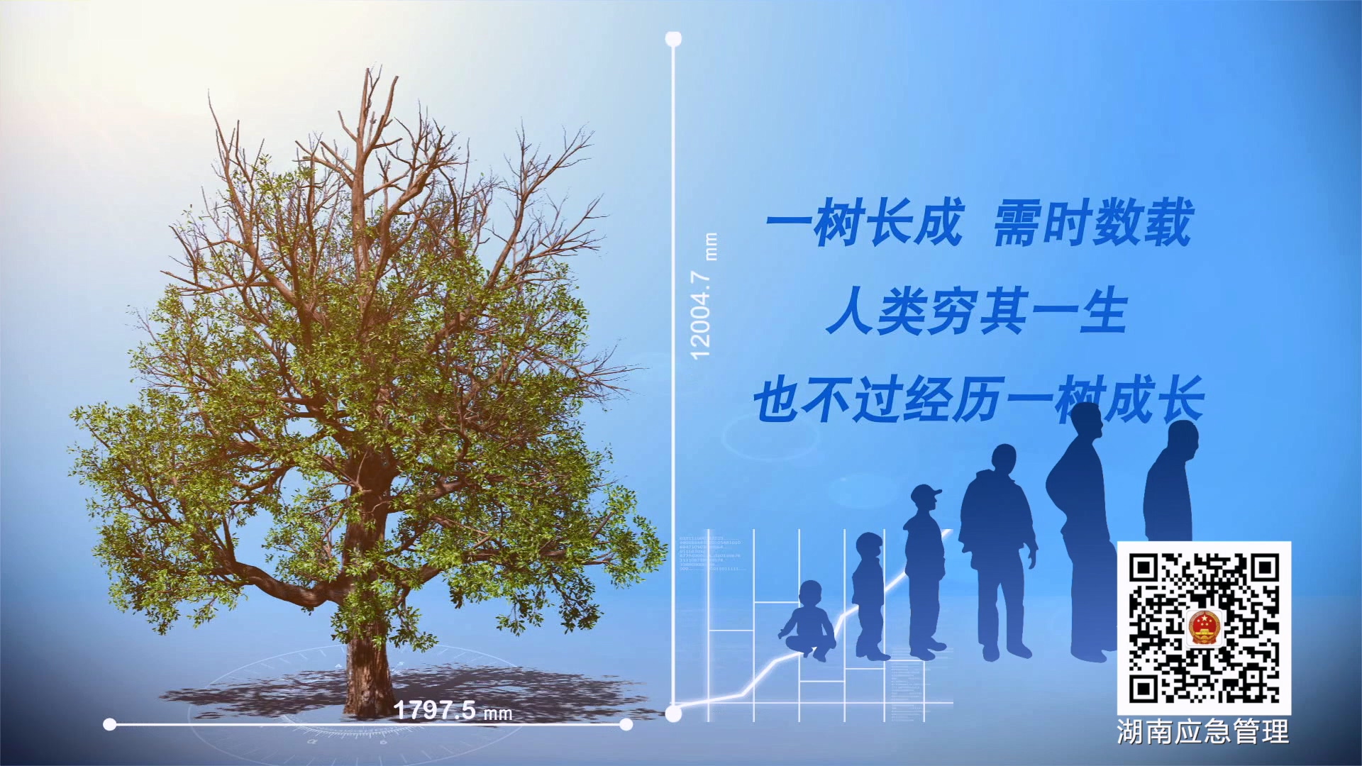 森林防火一分钟警示录