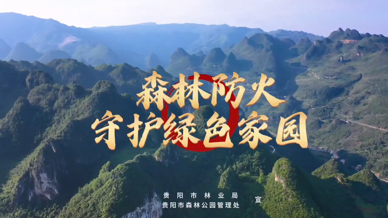 《森林防火 守护绿色家园》宣传片