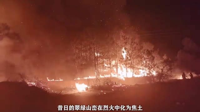 守护青山绿水，敬畏自然，承诺未来——森林防火科普