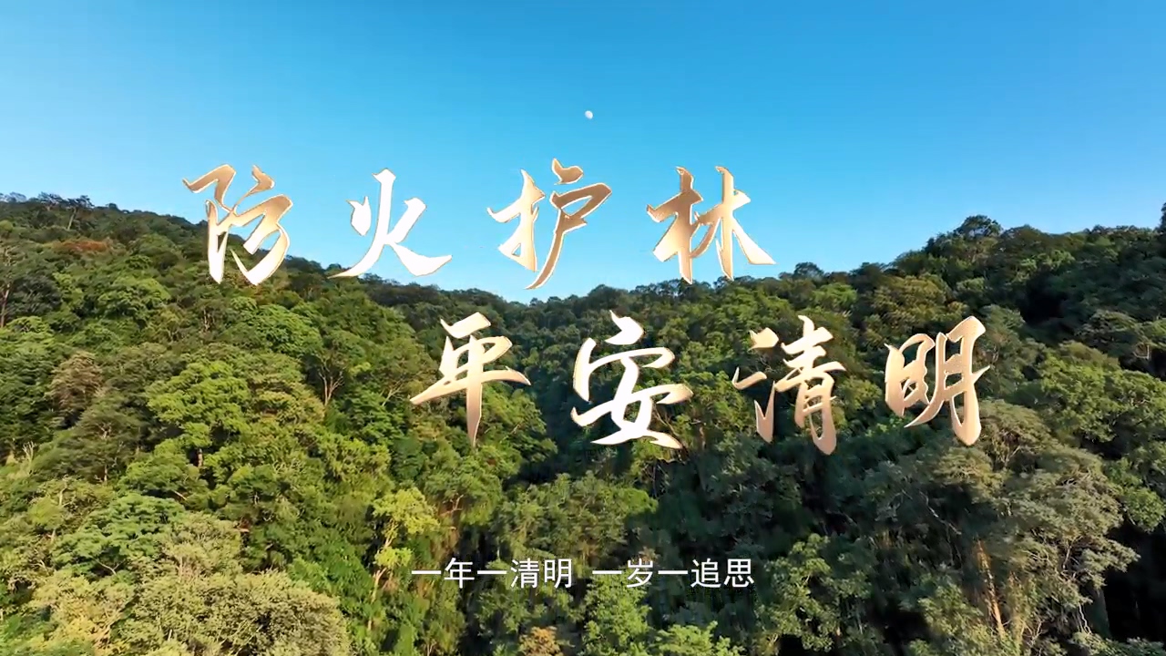 清明节森林防火宣传视频