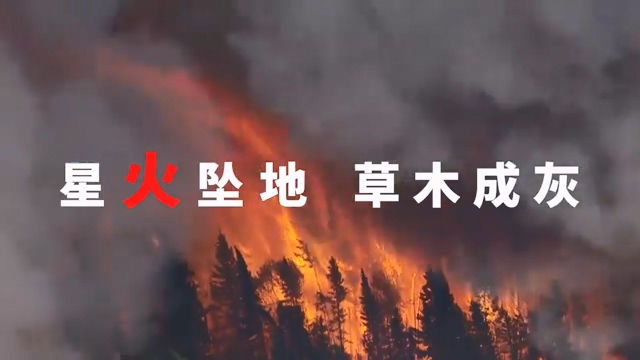 森林草原防火公益短片：火灾无情 防火先行